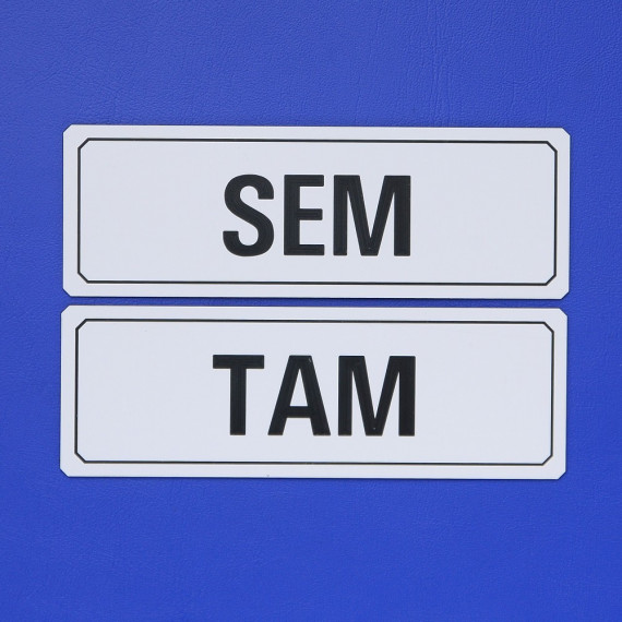 SEM + TAM